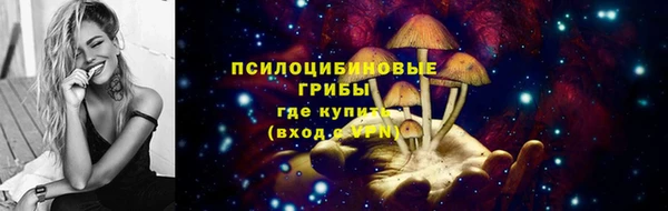 трава Белокуриха