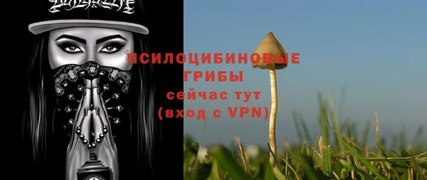 трава Белокуриха