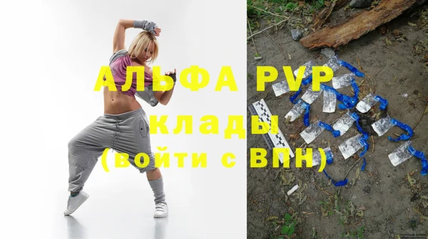 трава Белокуриха