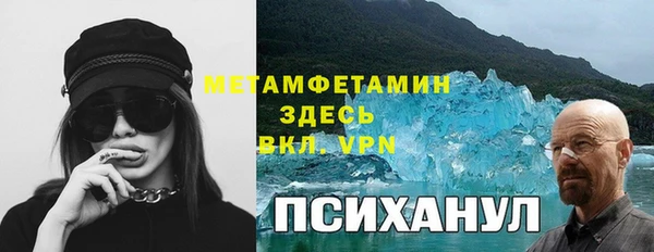 трава Белокуриха
