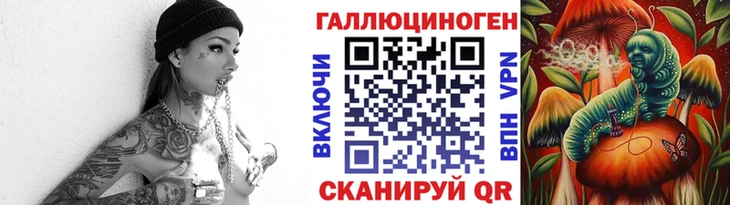 где можно купить   Пестово  Галлюциногенные грибы мухоморы 